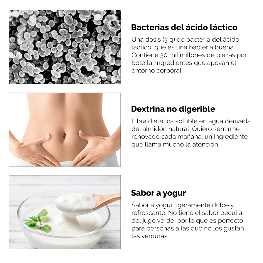 Jugo Verde de Árbol de Mora Sabor Yogurt