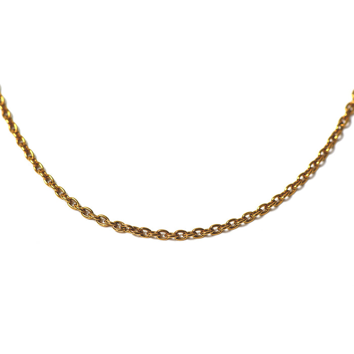 Collar de Cadena de Titanio Gold IP Adzuki